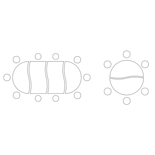 idées de configuration des tables demi cercle pour classe flexible
