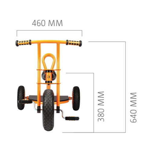 tricycle enfant 2 places
