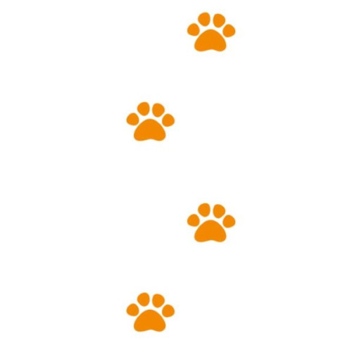 Sticker pattes de lion