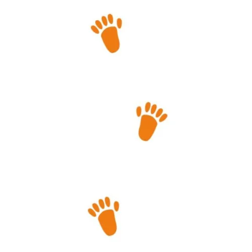 Sticker pour sol avec empreintes singe
