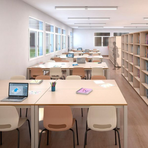 Chaise avec coque incurvée en bibliothèque