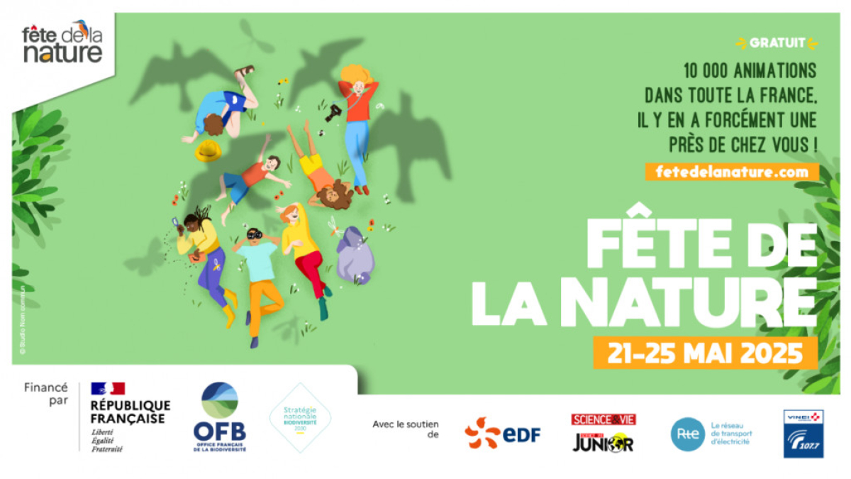 Célébrer la Fête de la Nature : origine, idées et activités près de chez vous. 